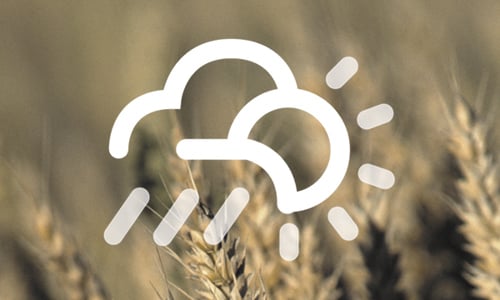 blogg juli 2024 header updt.jpg