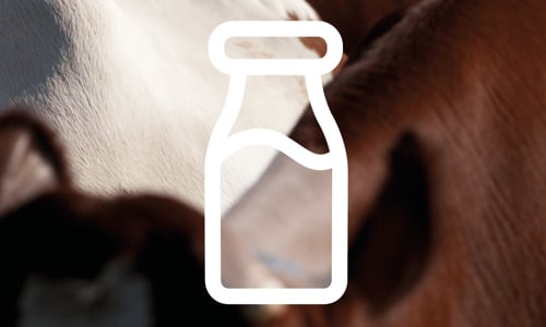 header blogg-sep 2024.jpg