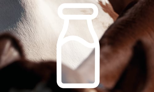 Collaboration and knowledge sharing at Farm of the Future Viken