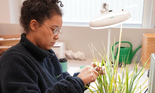 Linnea Svalöv 2025 1640x900.jpg